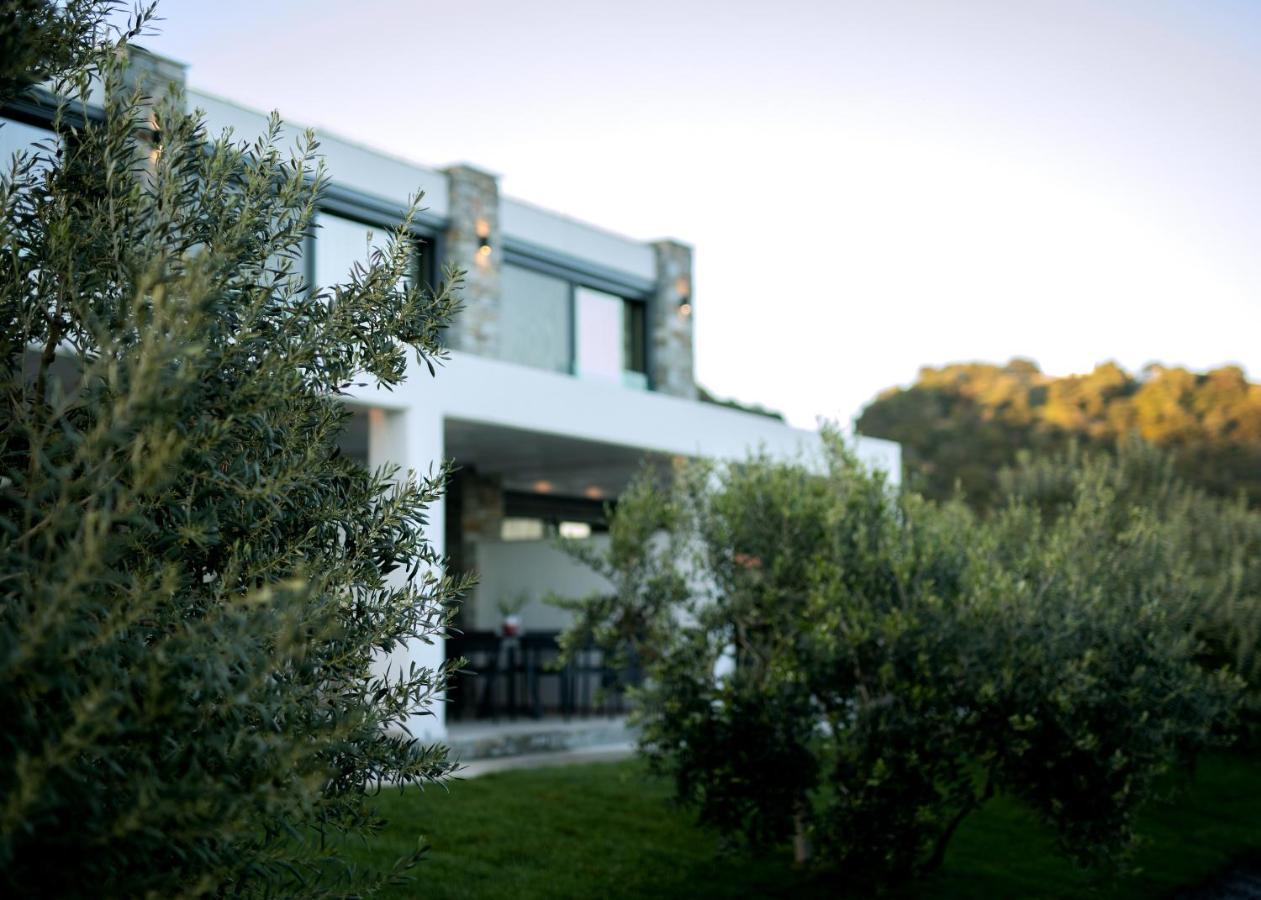 Casa Del Olivar *
