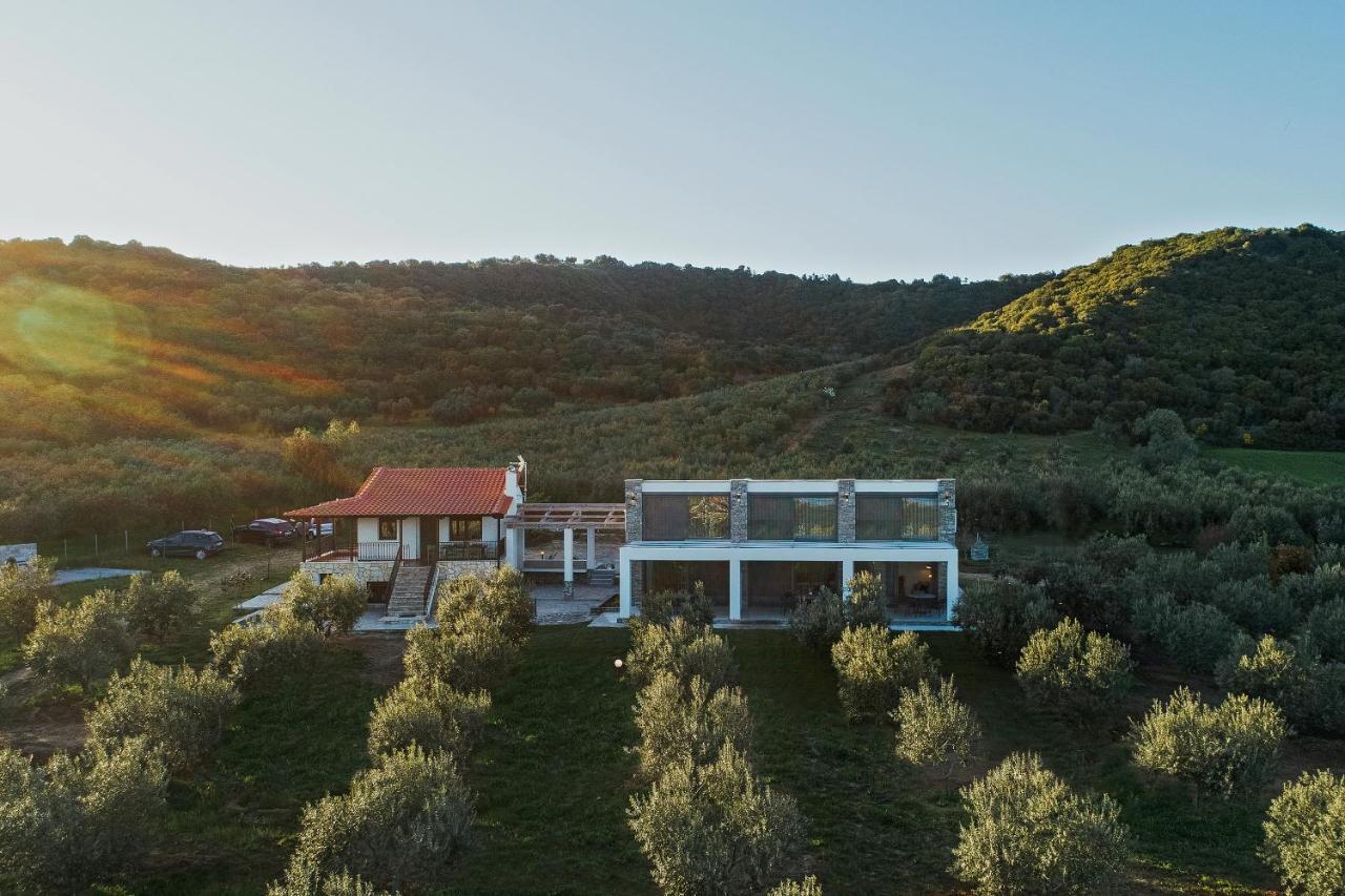 Casa Del Olivar