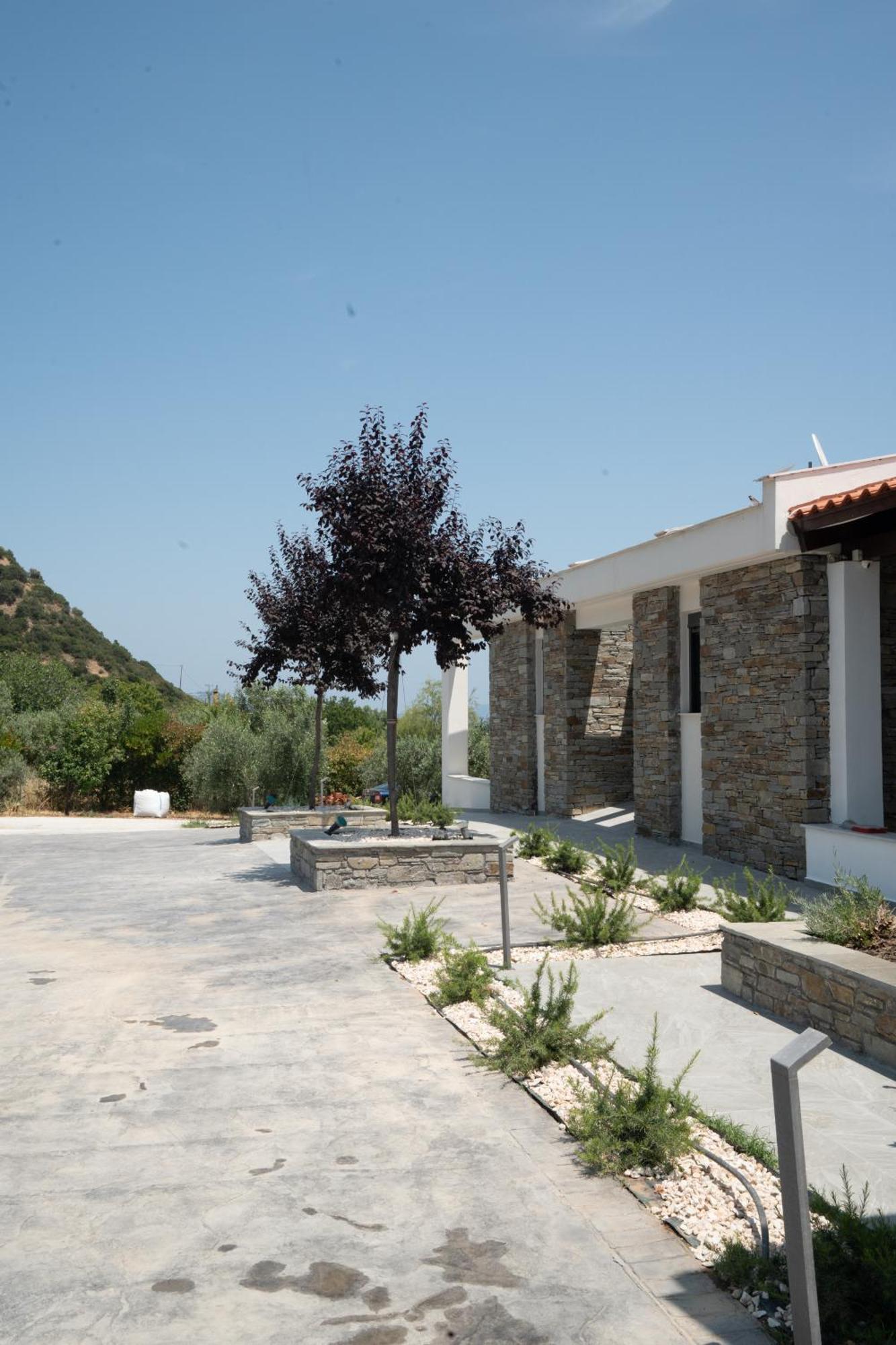 Casa Del Olivar Develíkia